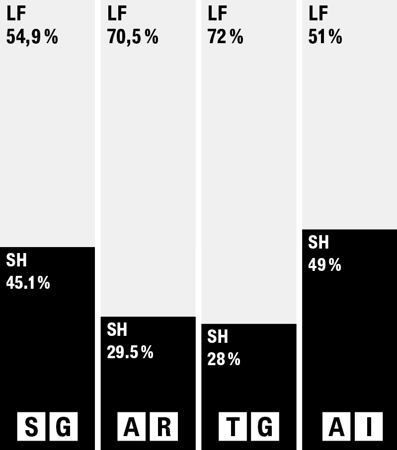 Saiten 2601 Lotterie Chart S28