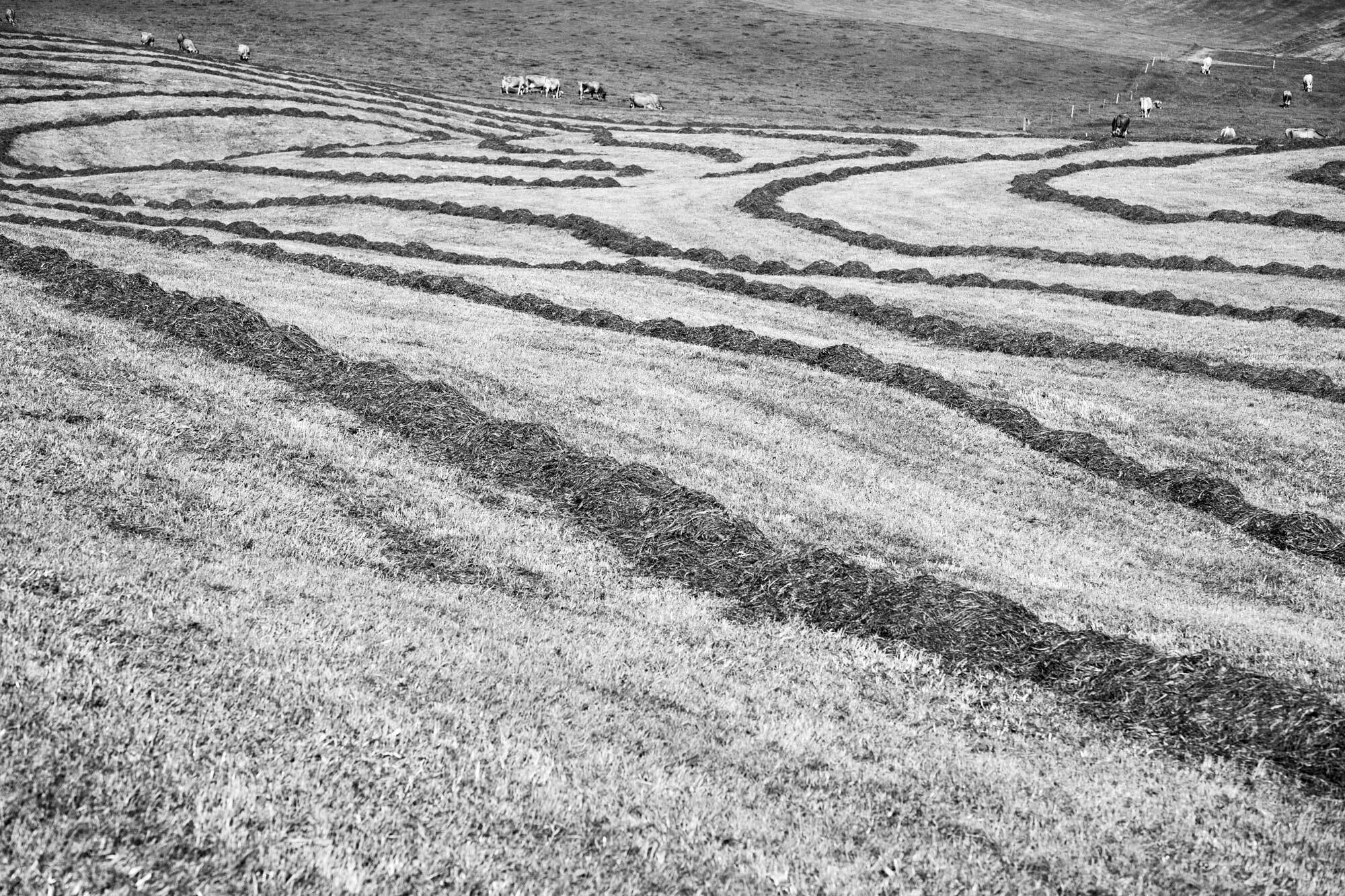 Bauernheimaten AR Mendle3 2019 hr F Bachmann